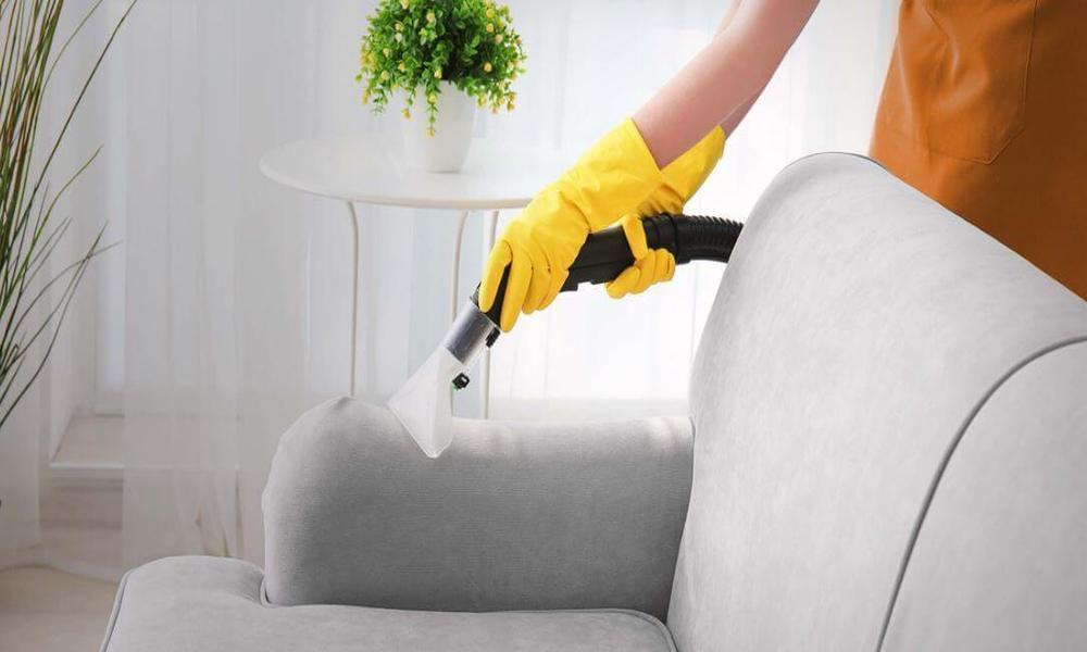 Should you go for sofa deep cleaning service Why